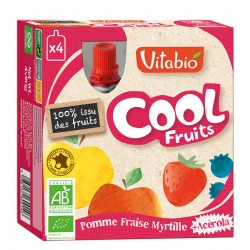 Vb cool fruits pomme fraise myrtille (x4)
