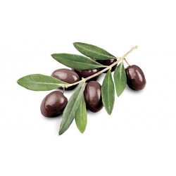 Vrac olives noi. herb. avec noyau 3.8 kg net