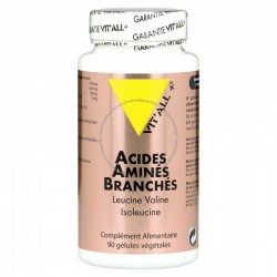 Acides amines branches 90gel