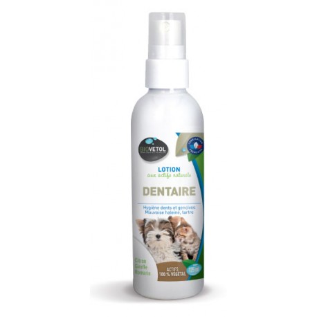Lotion dentaire 100 ml