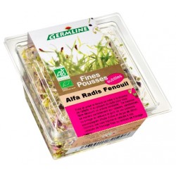 *gr.germes alfalfa radis 